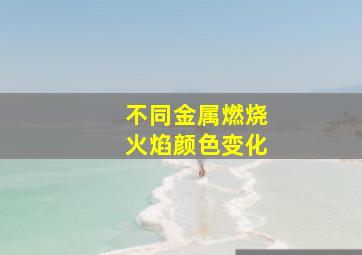 不同金属燃烧火焰颜色变化