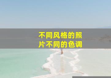 不同风格的照片不同的色调