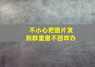 不小心把图片发到群里撤不回咋办