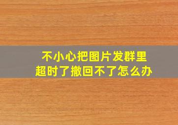 不小心把图片发群里超时了撤回不了怎么办