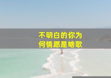 不明白的你为何情愿是啥歌