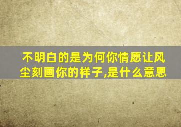 不明白的是为何你情愿让风尘刻画你的样子,是什么意思