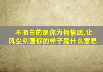 不明白的是你为何情愿,让风尘刻画你的样子是什么意思