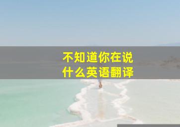 不知道你在说什么英语翻译