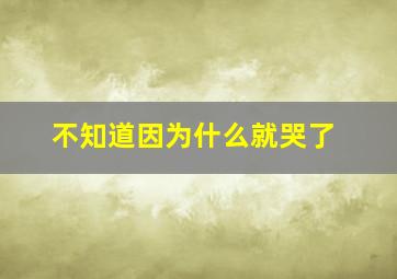 不知道因为什么就哭了