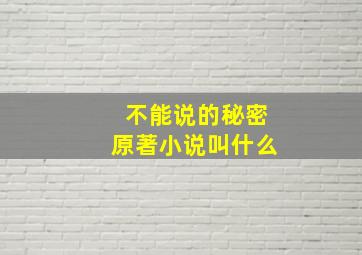 不能说的秘密原著小说叫什么