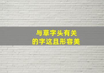 与草字头有关的字这且形容美