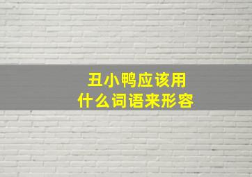 丑小鸭应该用什么词语来形容