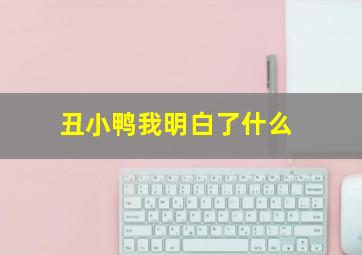 丑小鸭我明白了什么