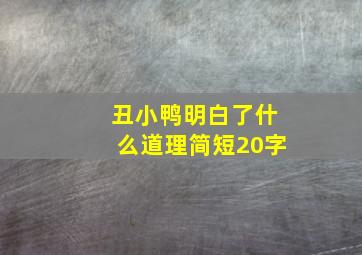 丑小鸭明白了什么道理简短20字