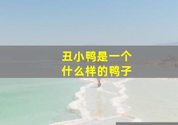 丑小鸭是一个什么样的鸭子