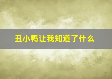 丑小鸭让我知道了什么