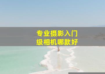 专业摄影入门级相机哪款好