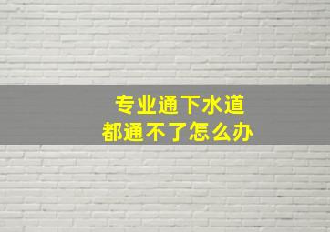 专业通下水道都通不了怎么办