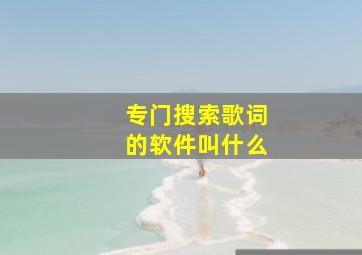 专门搜索歌词的软件叫什么