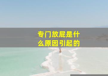 专门放屁是什么原因引起的