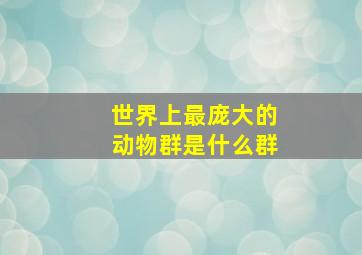 世界上最庞大的动物群是什么群