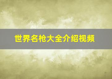 世界名枪大全介绍视频