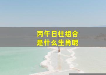 丙午日柱组合是什么生肖呢