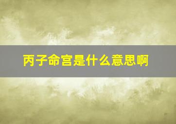 丙子命宫是什么意思啊