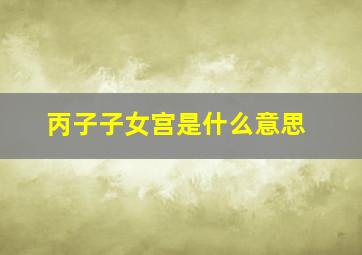 丙子子女宫是什么意思