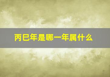 丙巳年是哪一年属什么