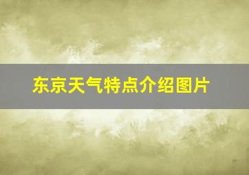 东京天气特点介绍图片