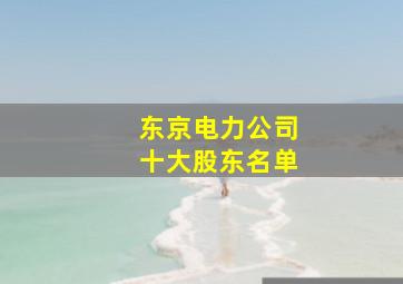 东京电力公司十大股东名单