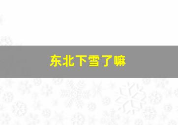 东北下雪了嘛