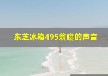 东芝冰箱495翁嗡的声音