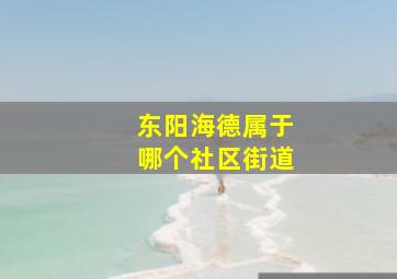 东阳海德属于哪个社区街道