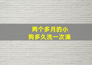 两个多月的小狗多久洗一次澡