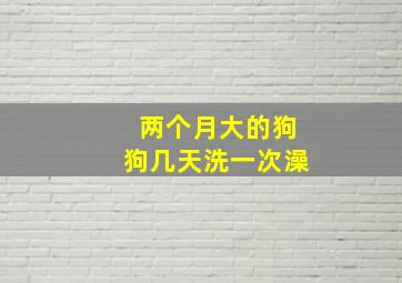 两个月大的狗狗几天洗一次澡