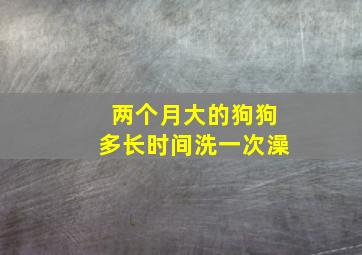 两个月大的狗狗多长时间洗一次澡