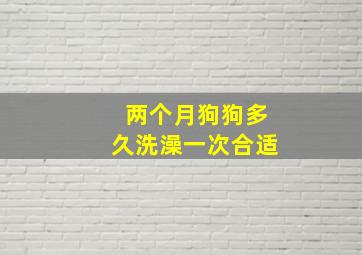 两个月狗狗多久洗澡一次合适