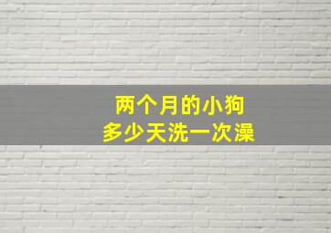 两个月的小狗多少天洗一次澡