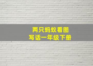 两只蚂蚁看图写话一年级下册