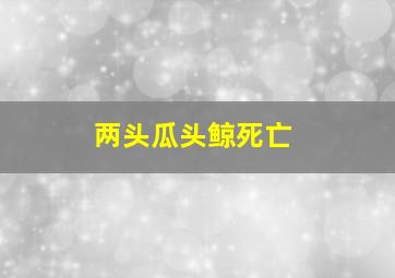 两头瓜头鲸死亡