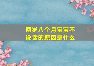 两岁八个月宝宝不说话的原因是什么