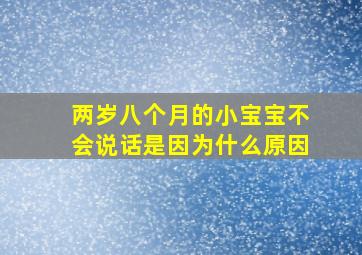 两岁八个月的小宝宝不会说话是因为什么原因