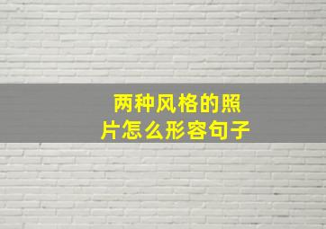 两种风格的照片怎么形容句子