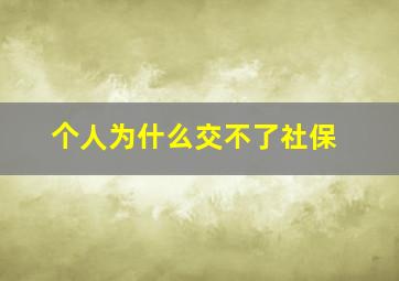 个人为什么交不了社保