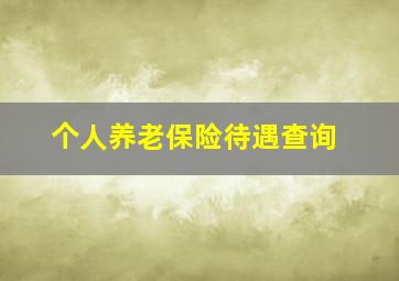 个人养老保险待遇查询