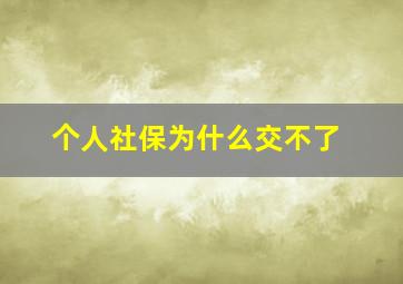 个人社保为什么交不了