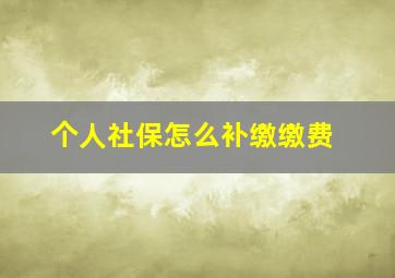 个人社保怎么补缴缴费