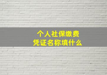 个人社保缴费凭证名称填什么