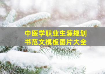 中医学职业生涯规划书范文模板图片大全