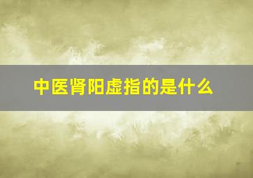 中医肾阳虚指的是什么