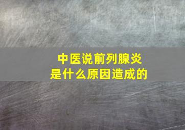 中医说前列腺炎是什么原因造成的