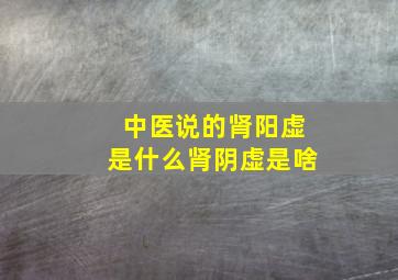 中医说的肾阳虚是什么肾阴虚是啥